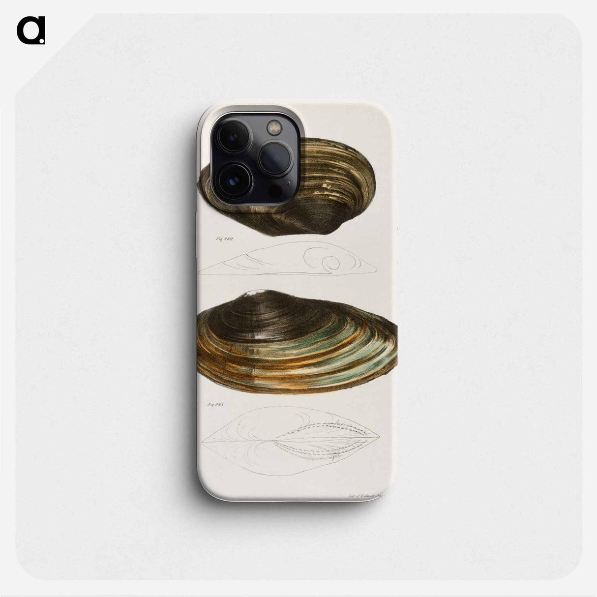 Anodon plana. Anodon excurvata. - ニューヨークの動物学 Phone Case.