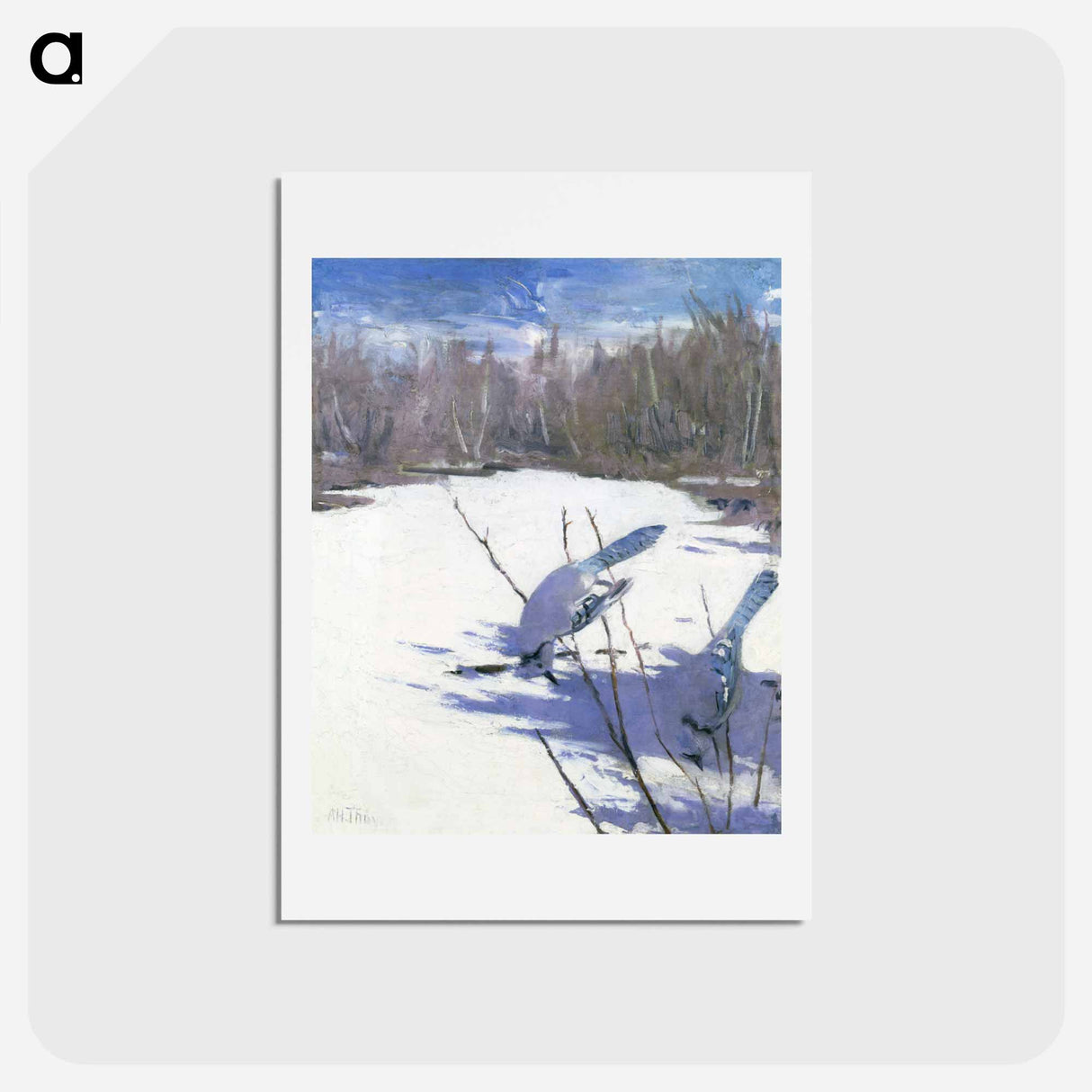 Blue Jays in Winter - アボット ハンダーソン セイヤー Postcard.