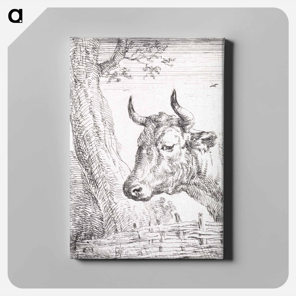Head of a cow - アールト シューマン Canvas.