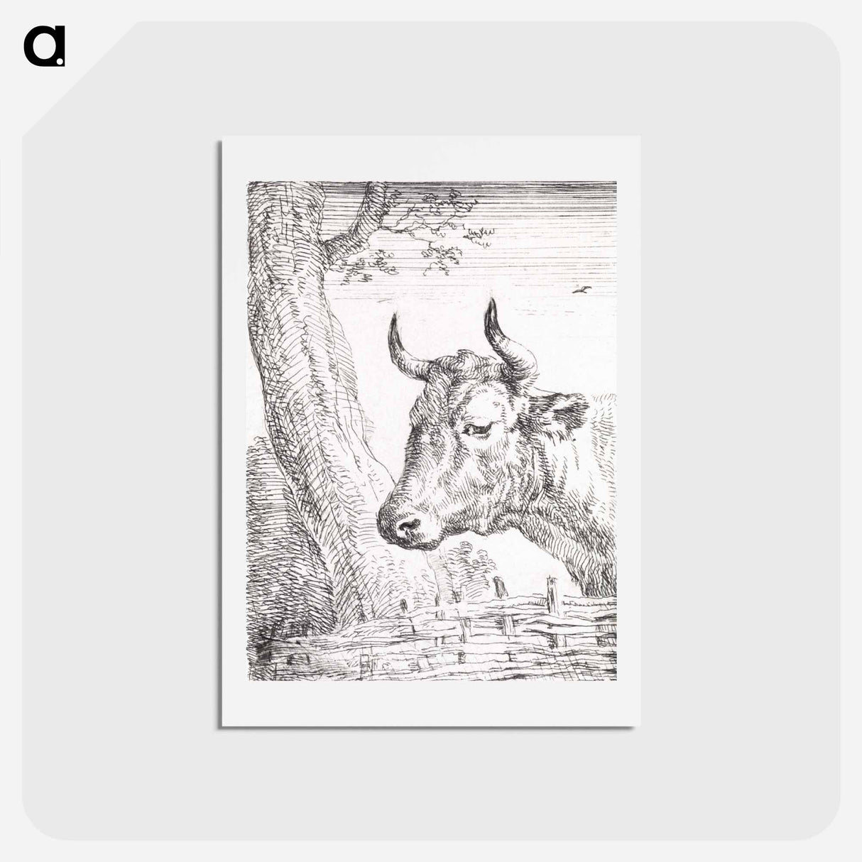 Head of a cow - アールト シューマン Postcard.