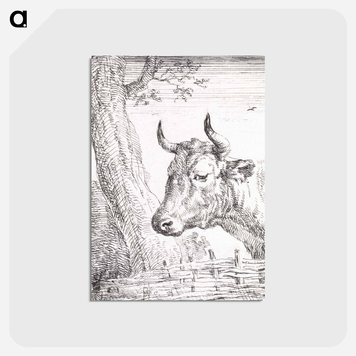 Head of a cow - アールト シューマン Postcard.