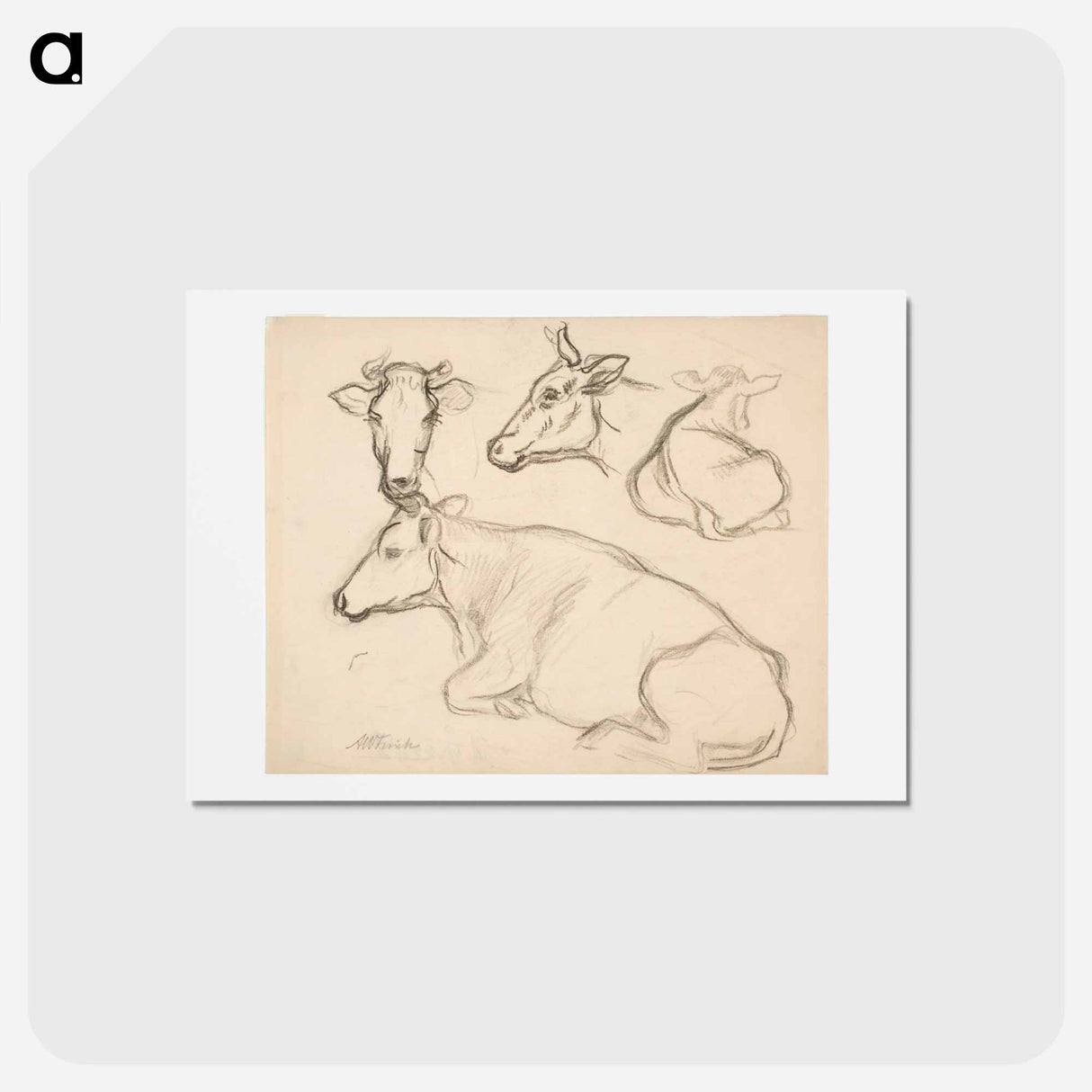 Lehmäharjoitelmia - アルフレッド ウィリアム フィンチ Postcard.