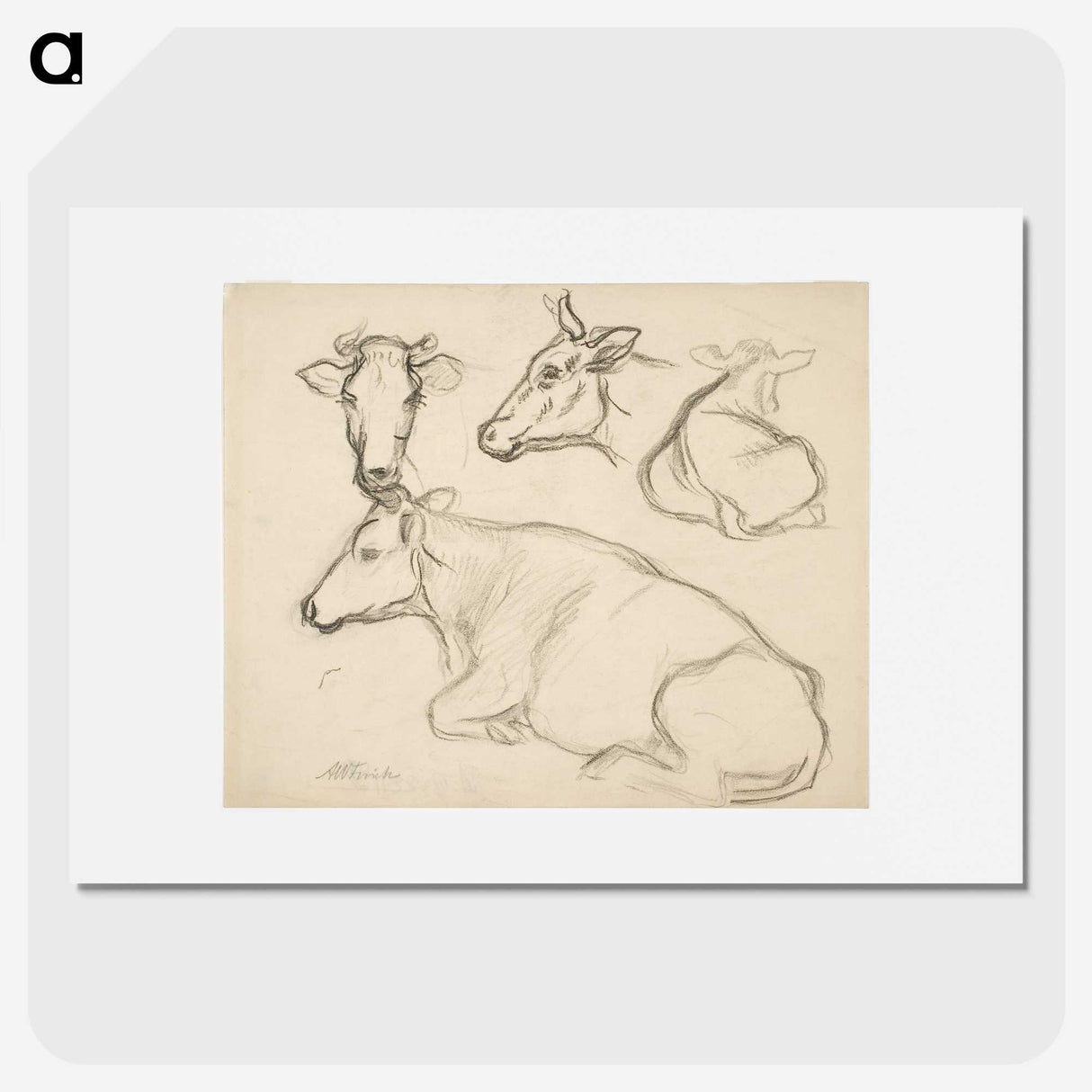 1-43_Alfred-William-Finch_picture