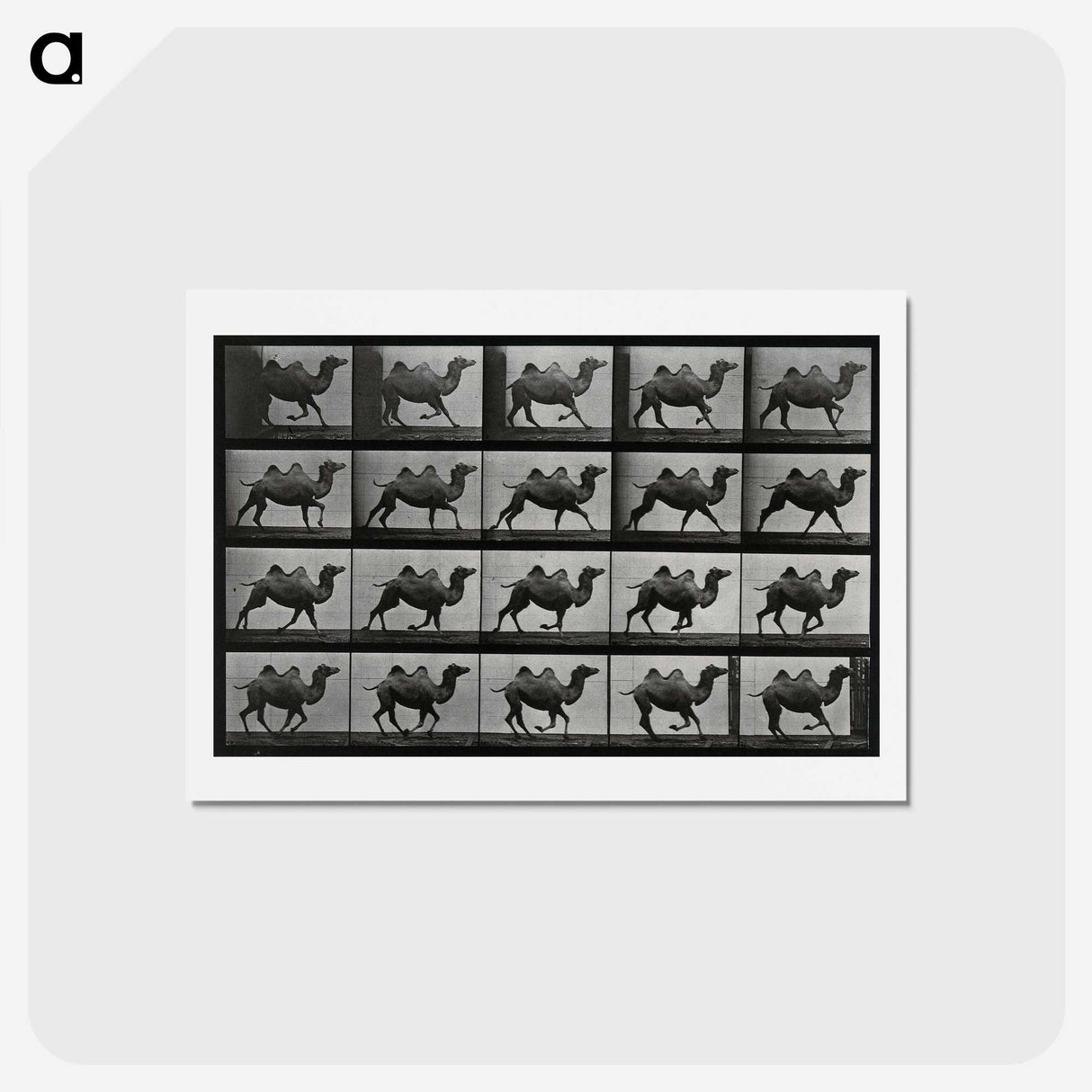 1-43_Eadweard-Muybridge_hagaki