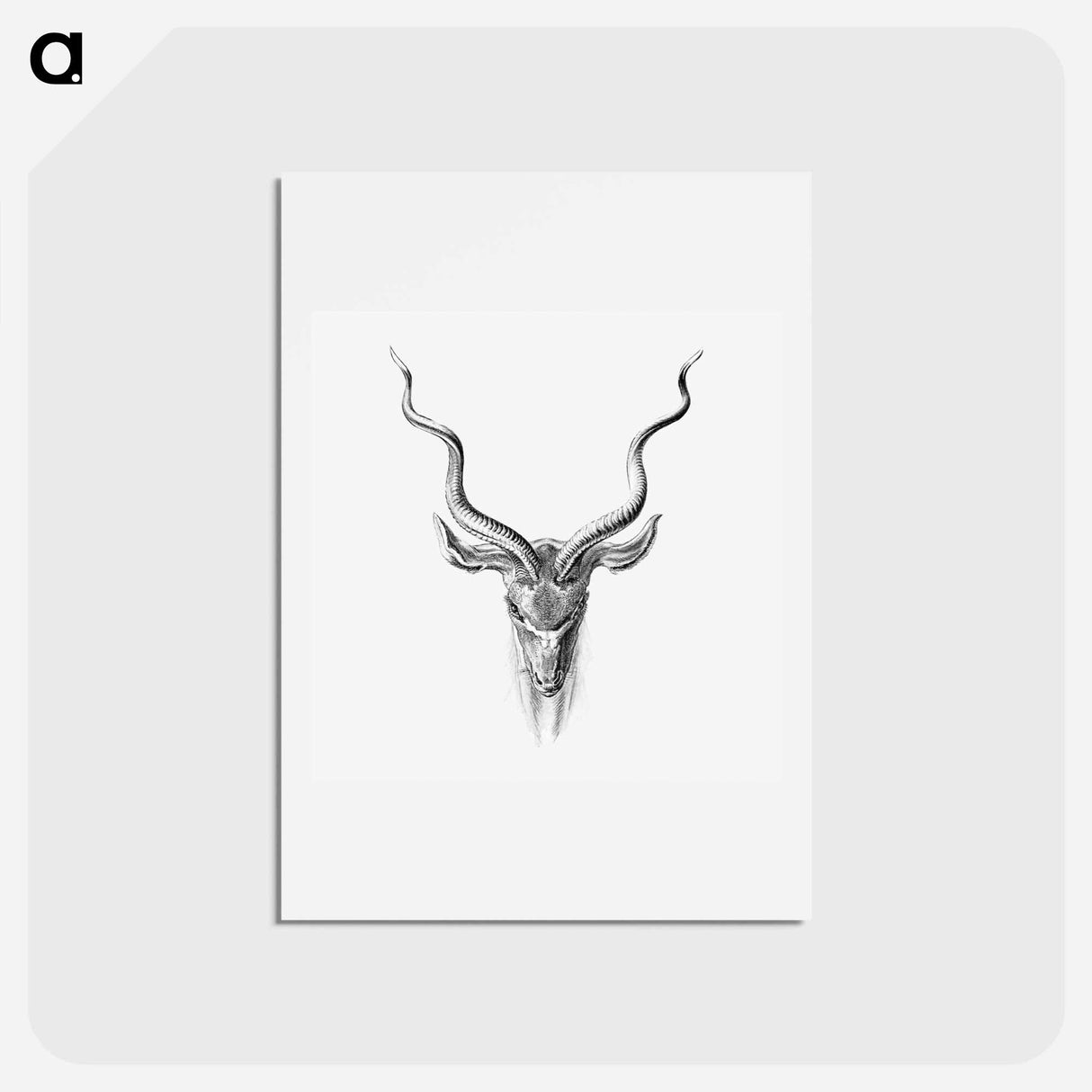 アートポストカード-Vintage antelope wildlife illustration - エルンスト ヘッケル Postcard.