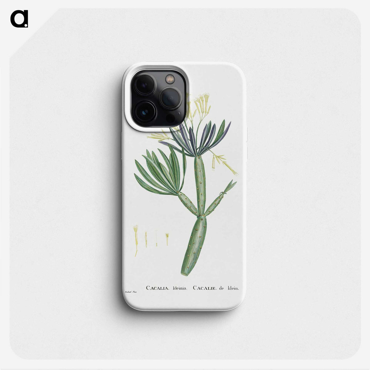 1-43_Histoire-des-Plantes-Grasses_phone