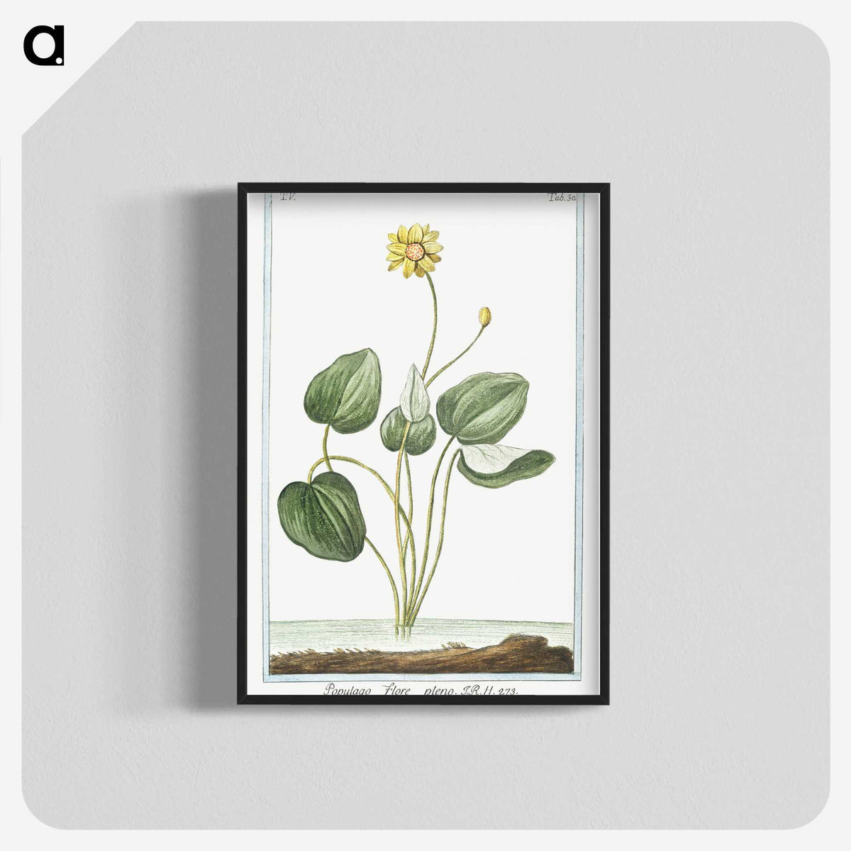 1-43_Hortus-Romanus-Botanical-Plates_blk-crop
