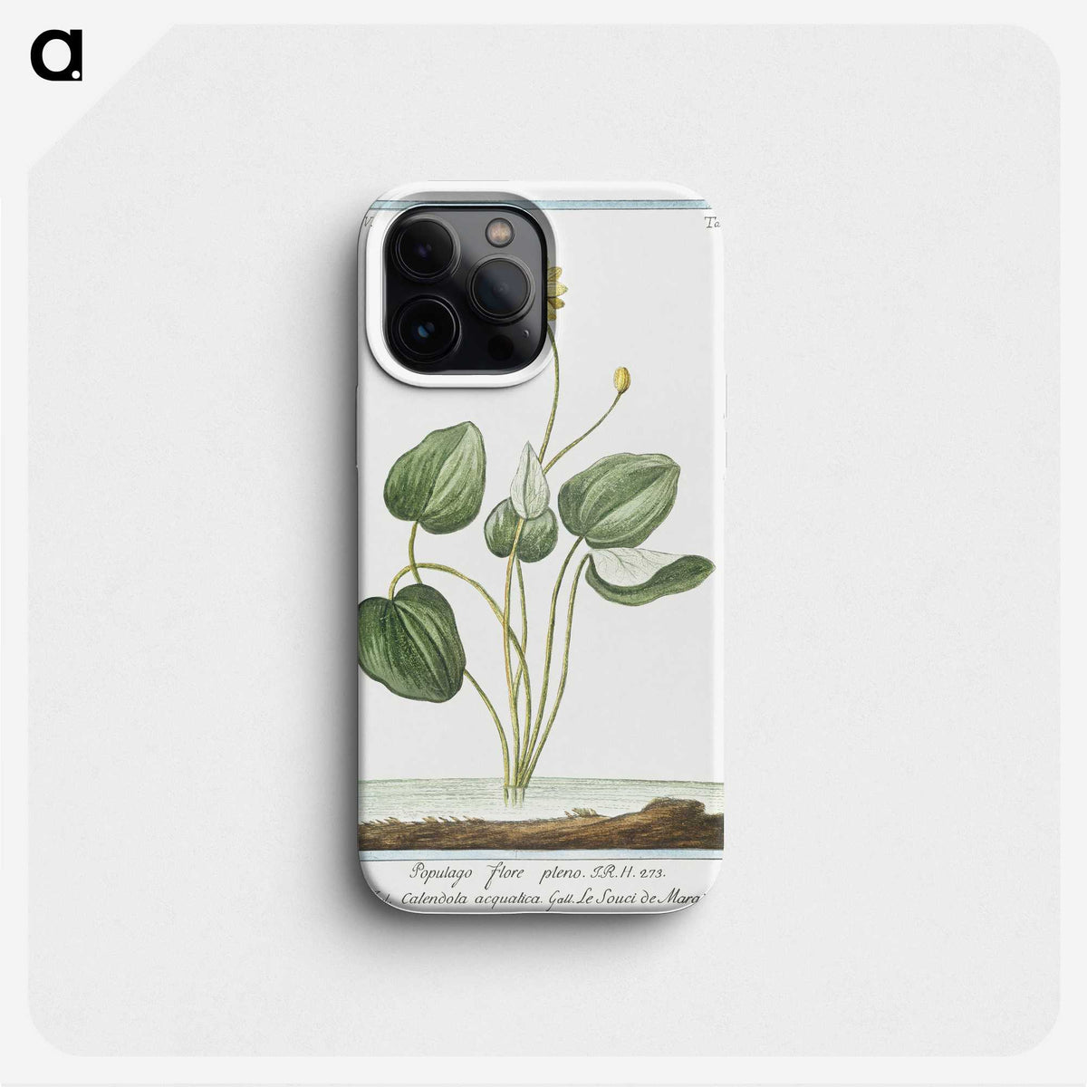 1-43_Hortus-Romanus-Botanical-Plates_phone