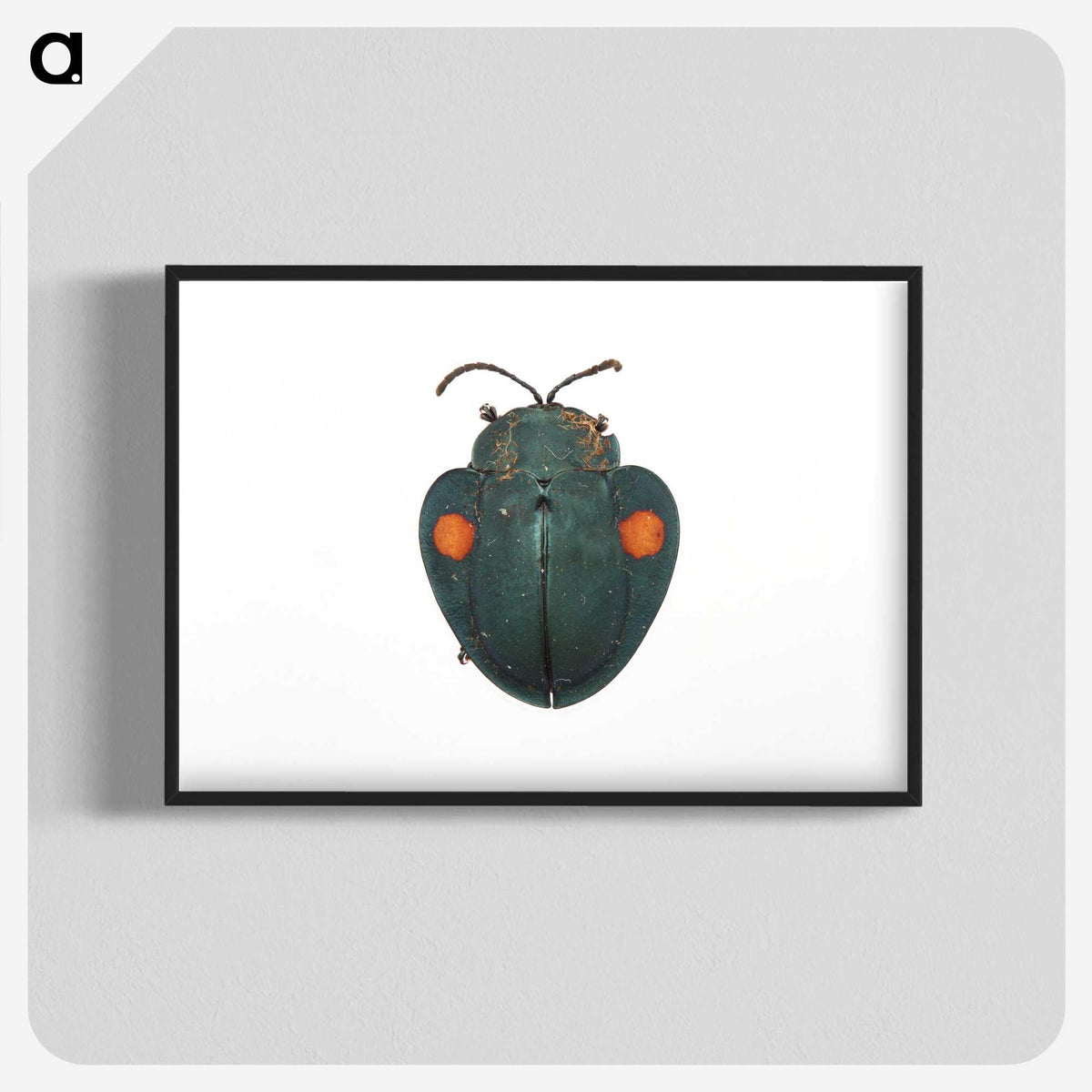 1-43_Insects-Unlocked-Project_blk-crop
