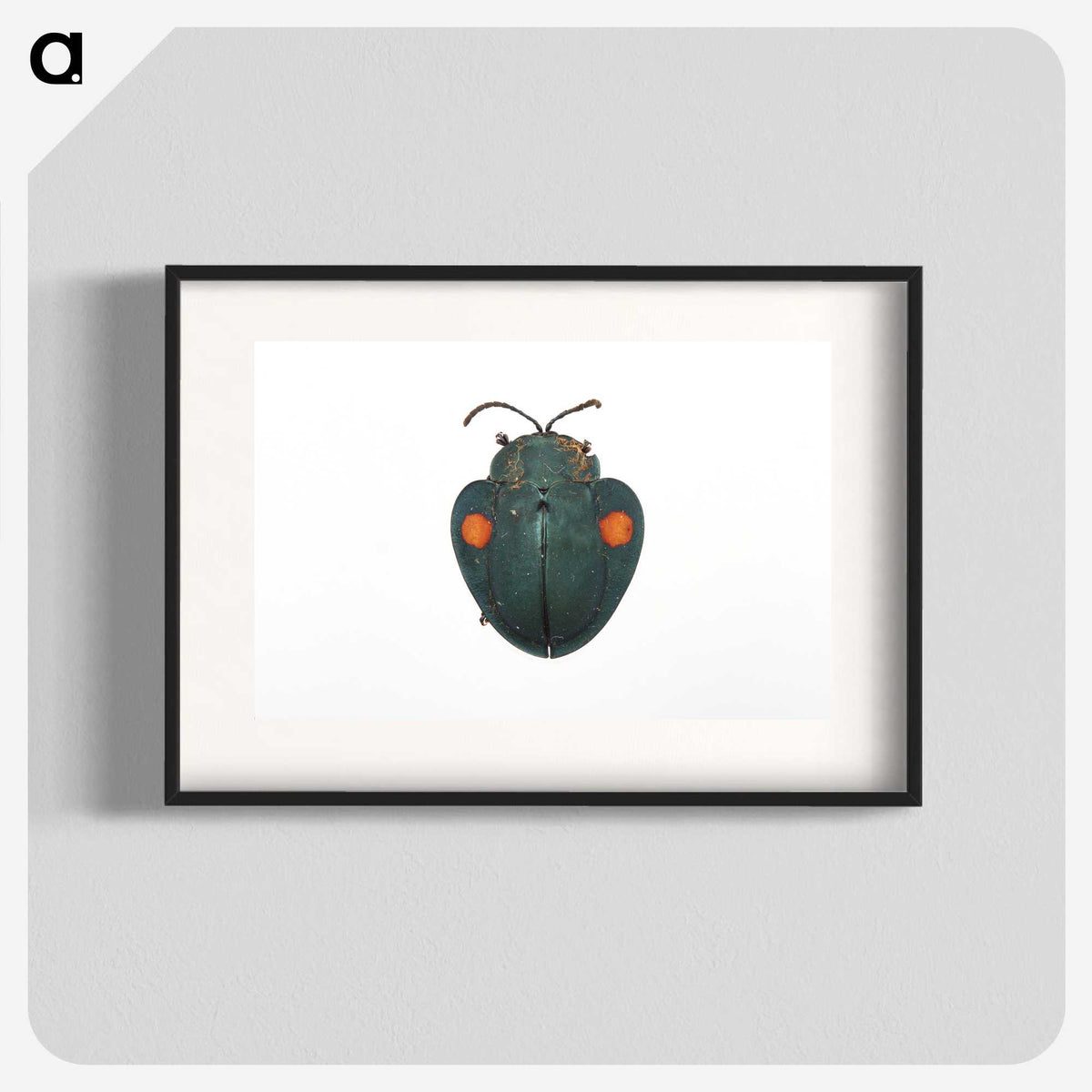 1-43_Insects-Unlocked-Project_blk
