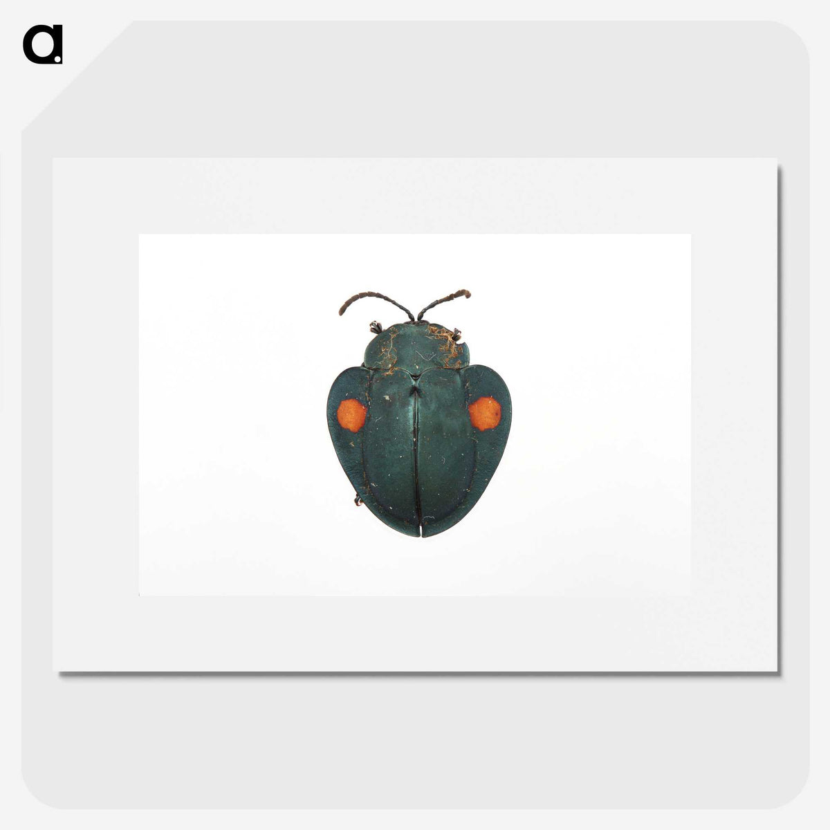 1-43_Insects-Unlocked-Project_picture