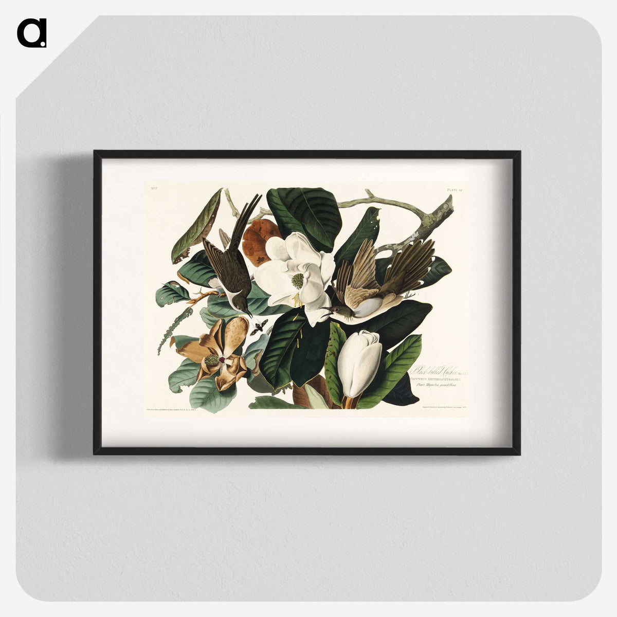 1-43_John-James-Audubon_blk