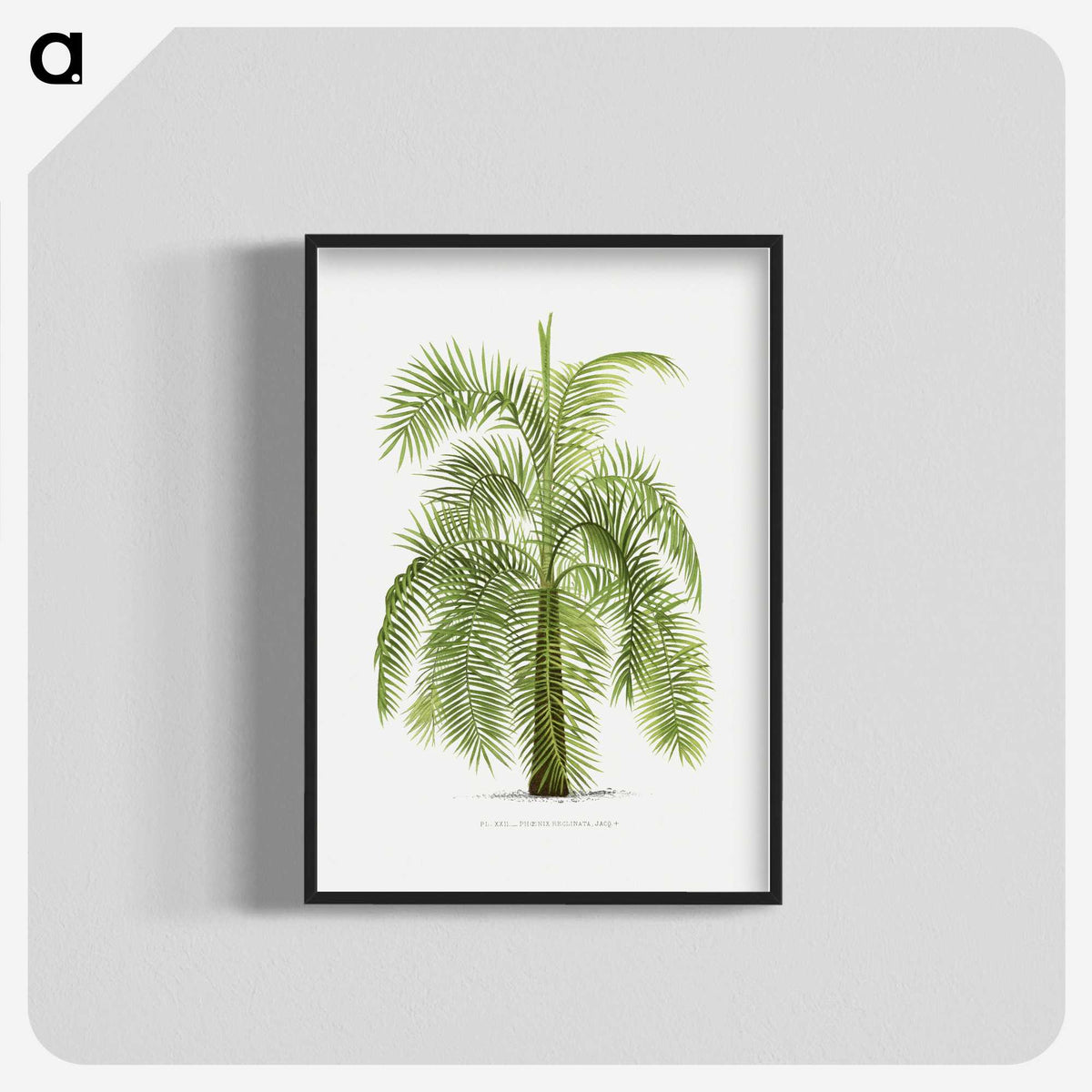 1-43_Les-Palmiers-Histoire-Iconographique_blk-crop