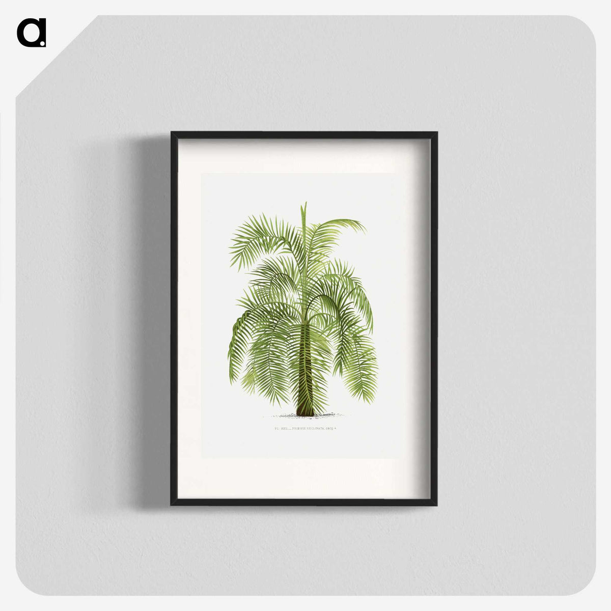 1-43_Les-Palmiers-Histoire-Iconographique_blk