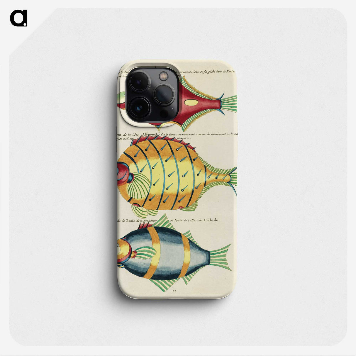 1-43_Louis-Renard_phone