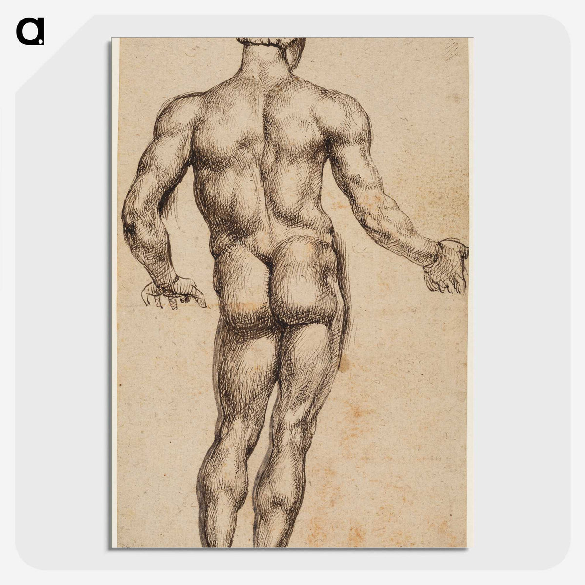 1-43_Peter-Paul-Rubens_picture-crop