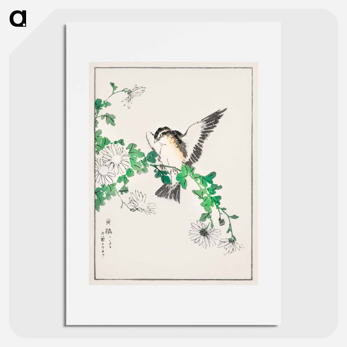 アートポスター-Narcissus Flycatcher and Chrysanthemum
- 鳥類図鑑 Poster.