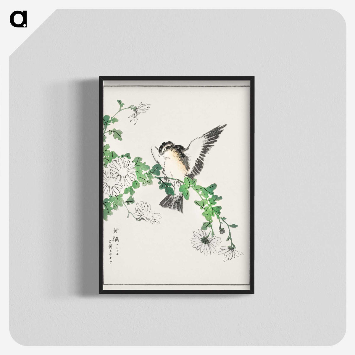 1-43_Pictorial-Monograph-of-Birds_blk-crop