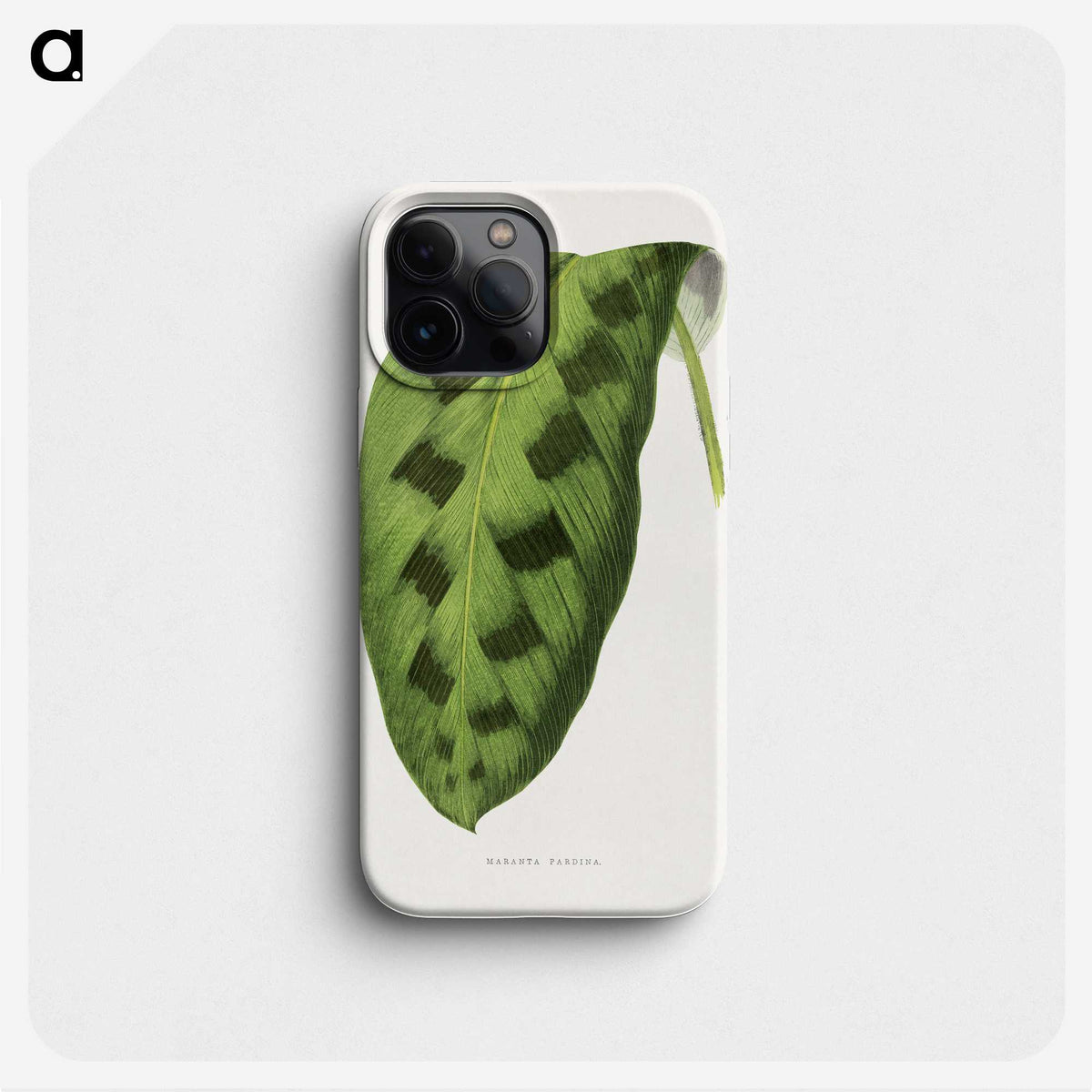 1-43_Plants-with-Colored-Foliage_phone