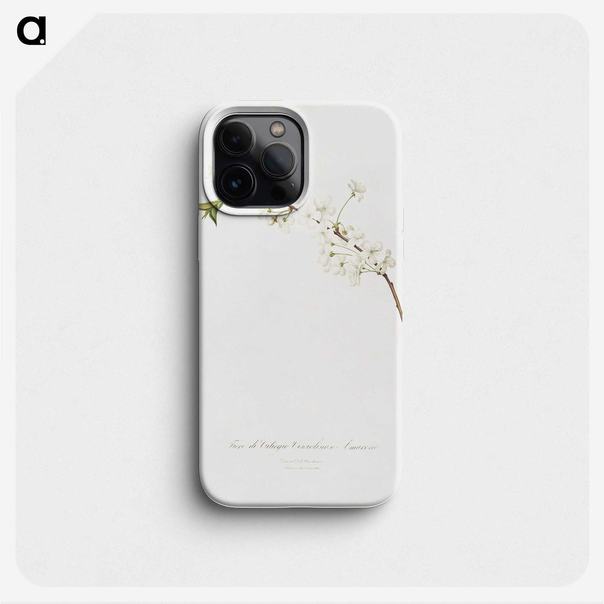 1-43_Pomona-Italiana_phone