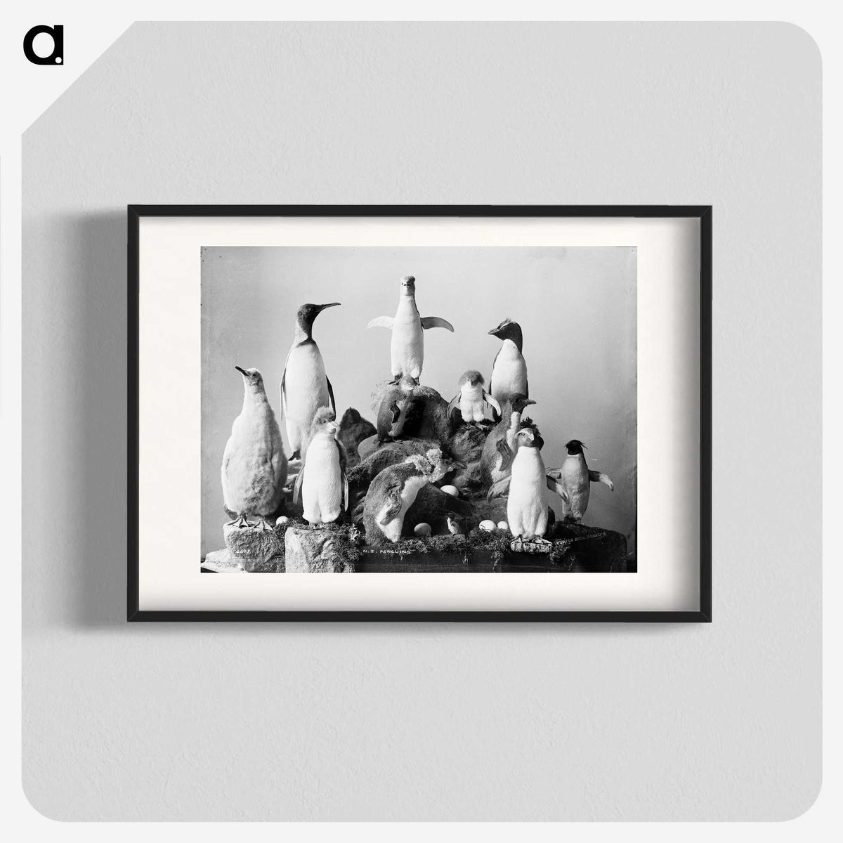 1-43_The-Burton-Brothers_blk