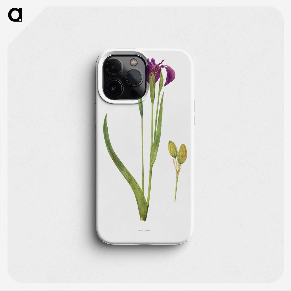 1-43_The-Genus-Iris_phone