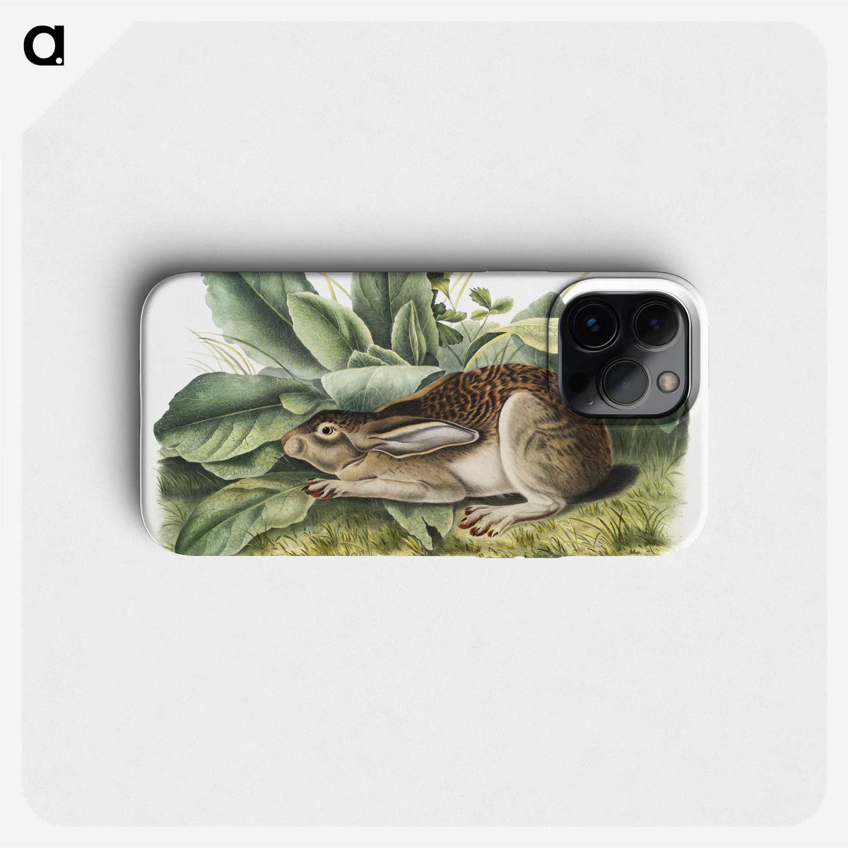1-43_The-Viviparous-Quadrupeds_phone