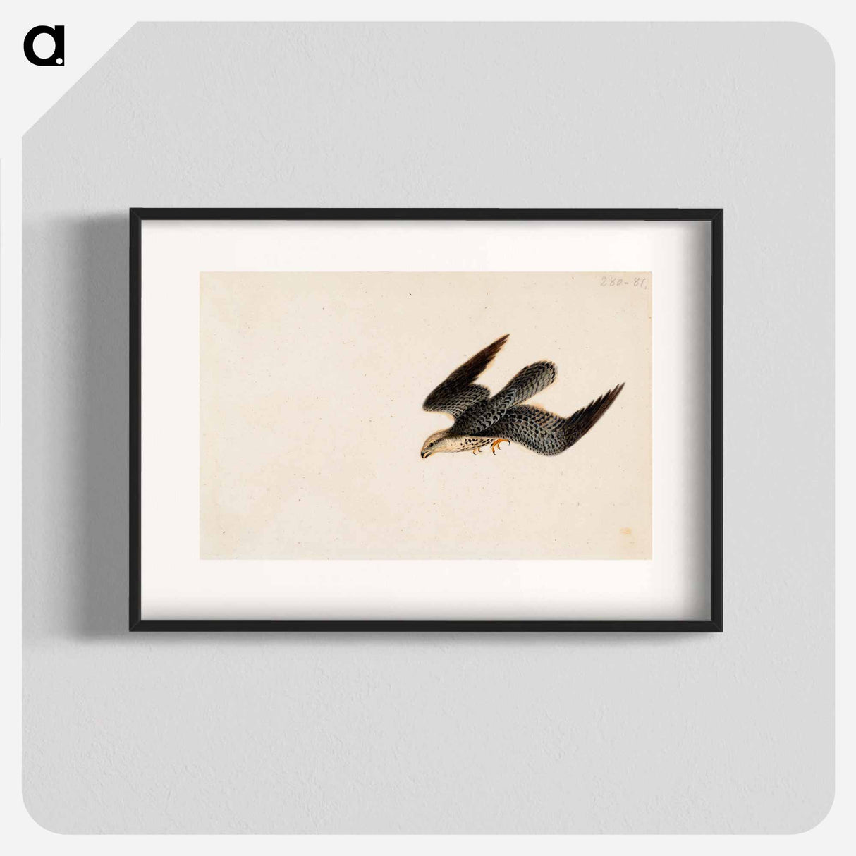 Eurasian sparrowhawk flying - ヴィルヘルム フォン ライト Poster.