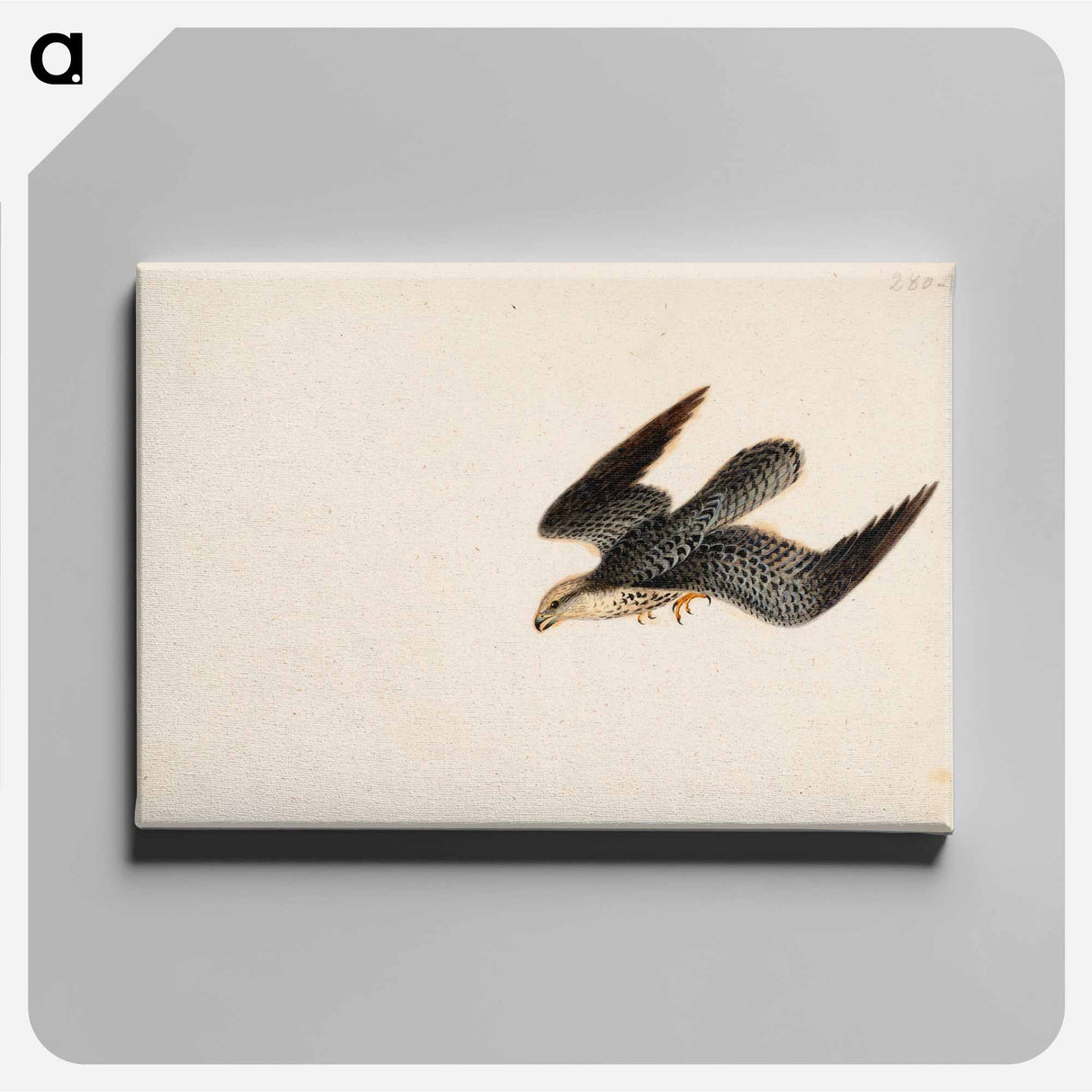 Eurasian sparrowhawk flying - Wilhelm von Wright Canvas.