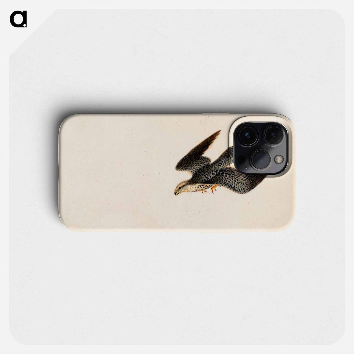 Eurasian sparrowhawk flying - Wilhelm von Wright Phone Case.