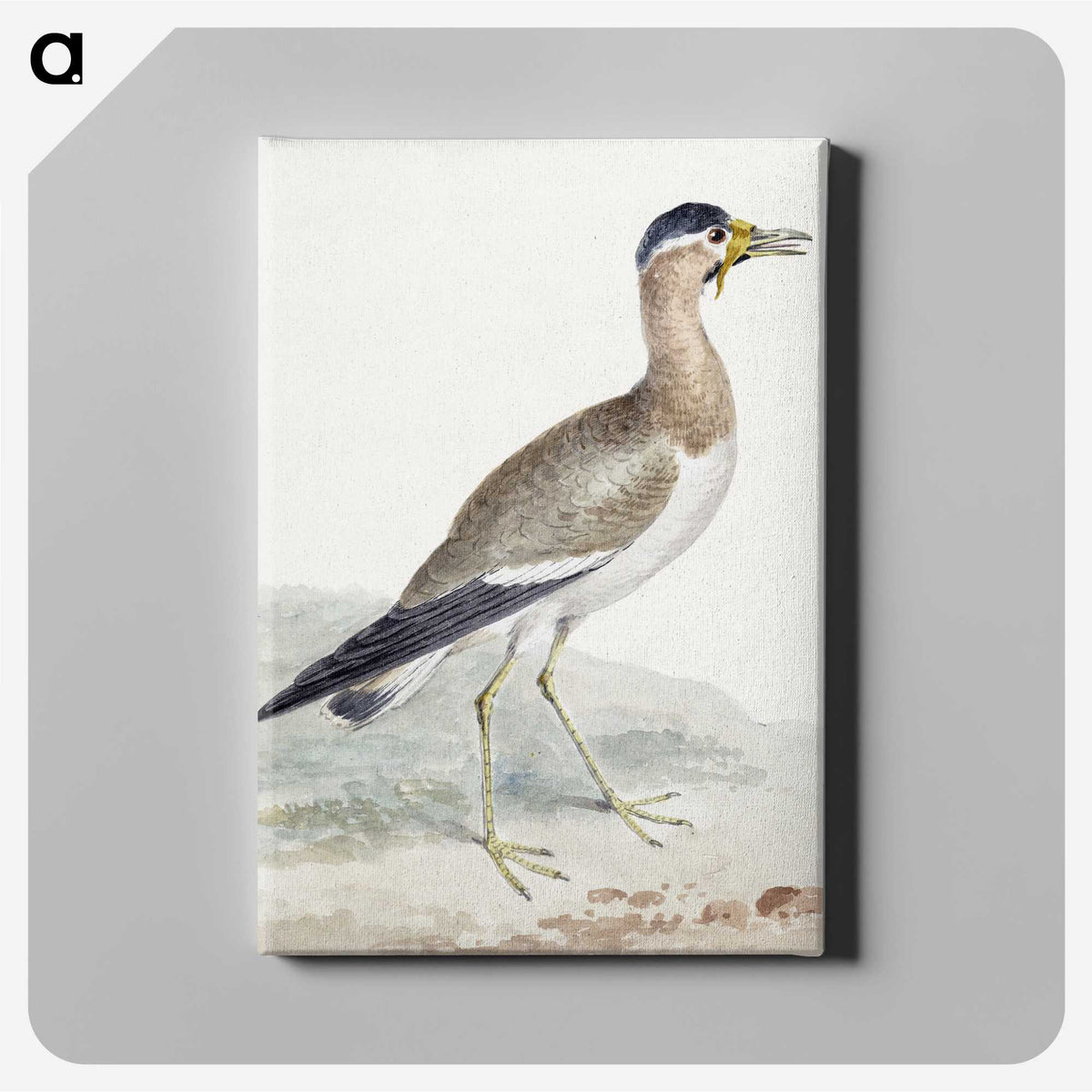 1-44_Aert-Schouman_canvas