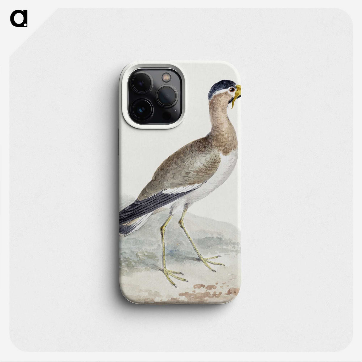 1-44_Aert-Schouman_phone