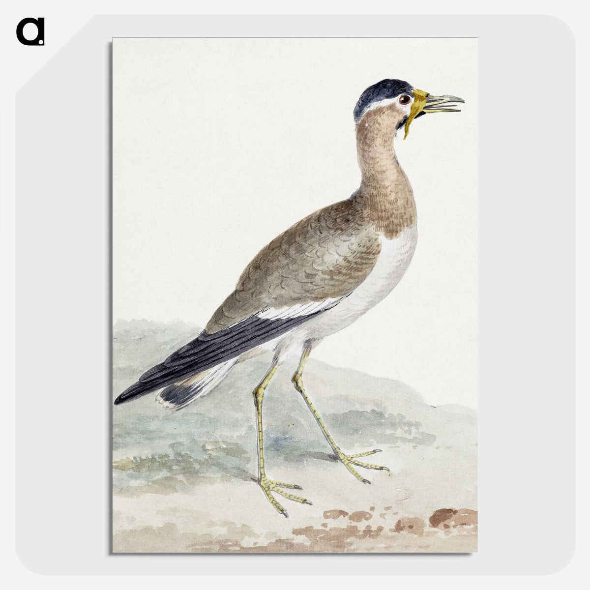 1-44_Aert-Schouman_picture-crop
