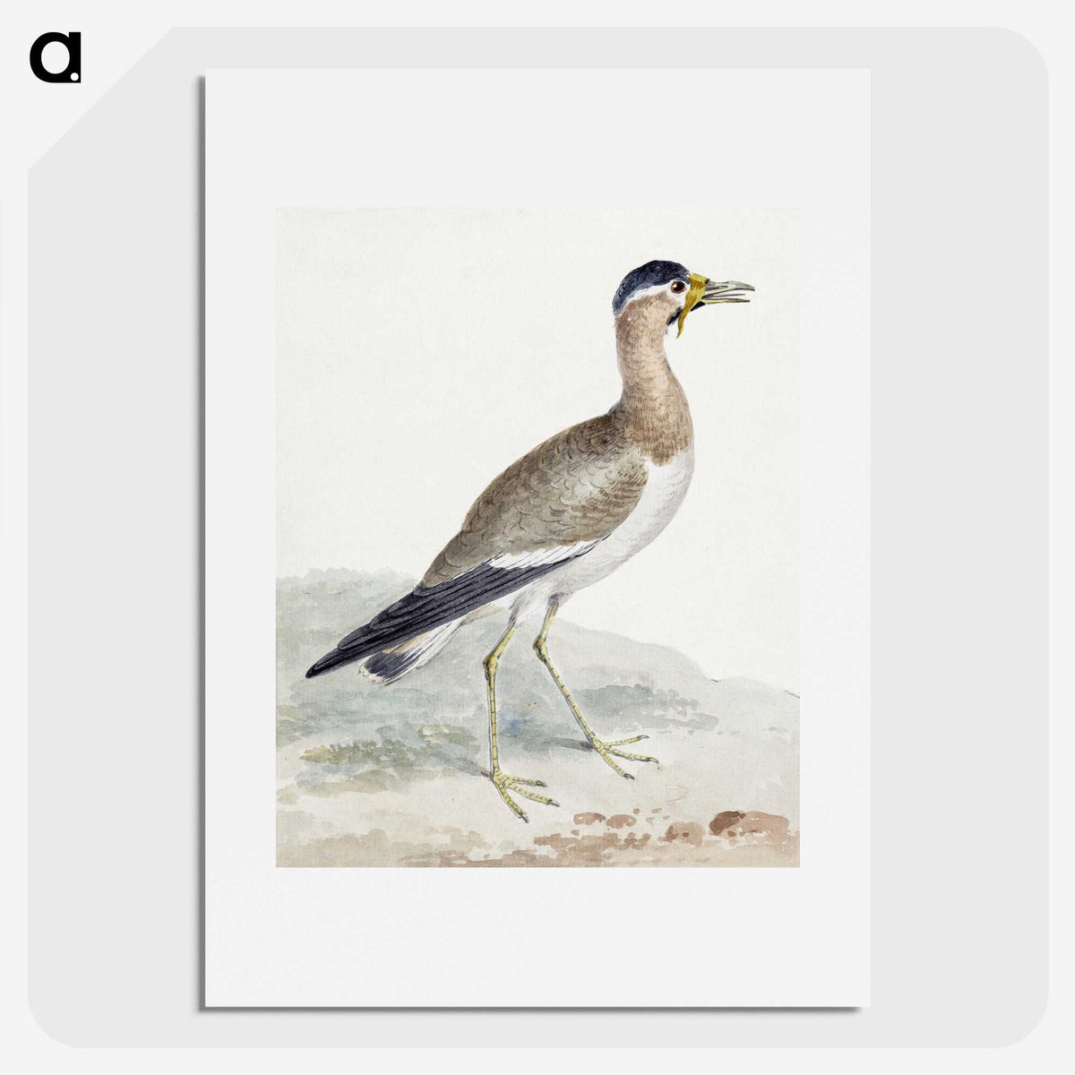 1-44_Aert-Schouman_picture