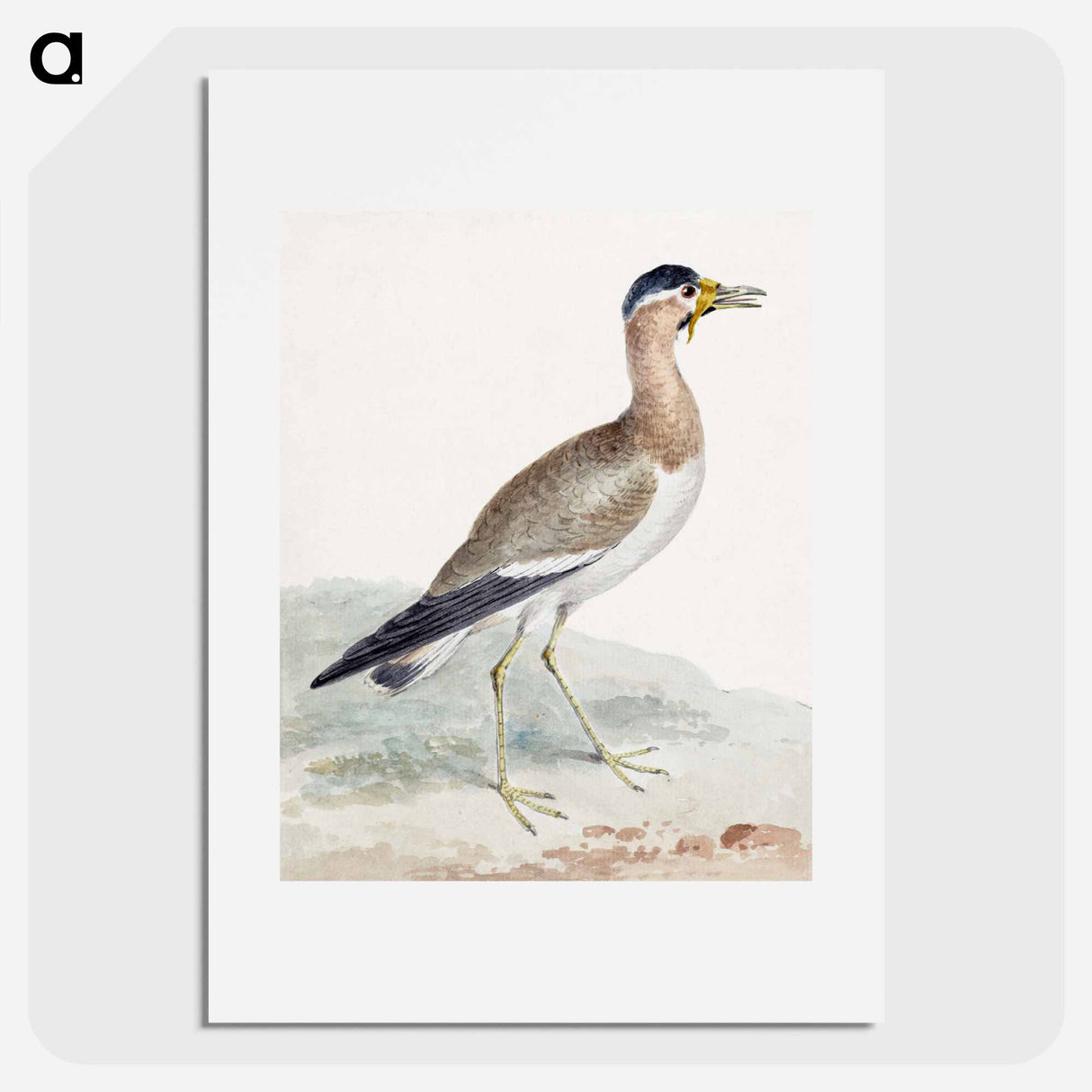 アートポスター-A Yellow-wattled Lapwing - アールト シューマン Poster.