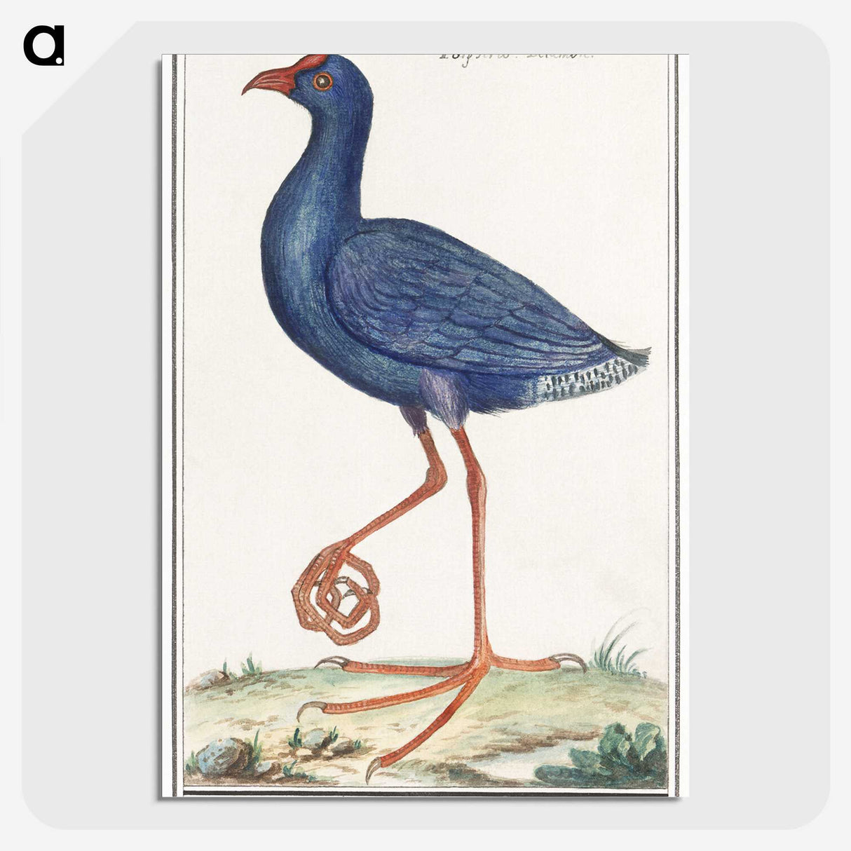 1-44_Anselmus-Boetius-de-Boodt_picture-crop