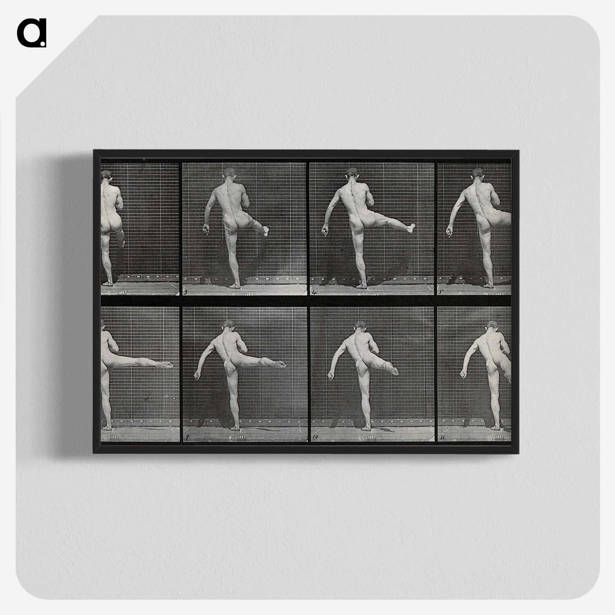 1-44_Eadweard-Muybridge_blk-crop