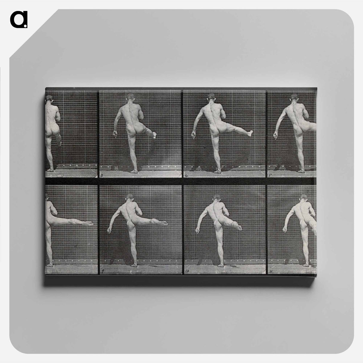 アートパネル-Ballet in Motion
- エドワード マイブリッジ Canvas.