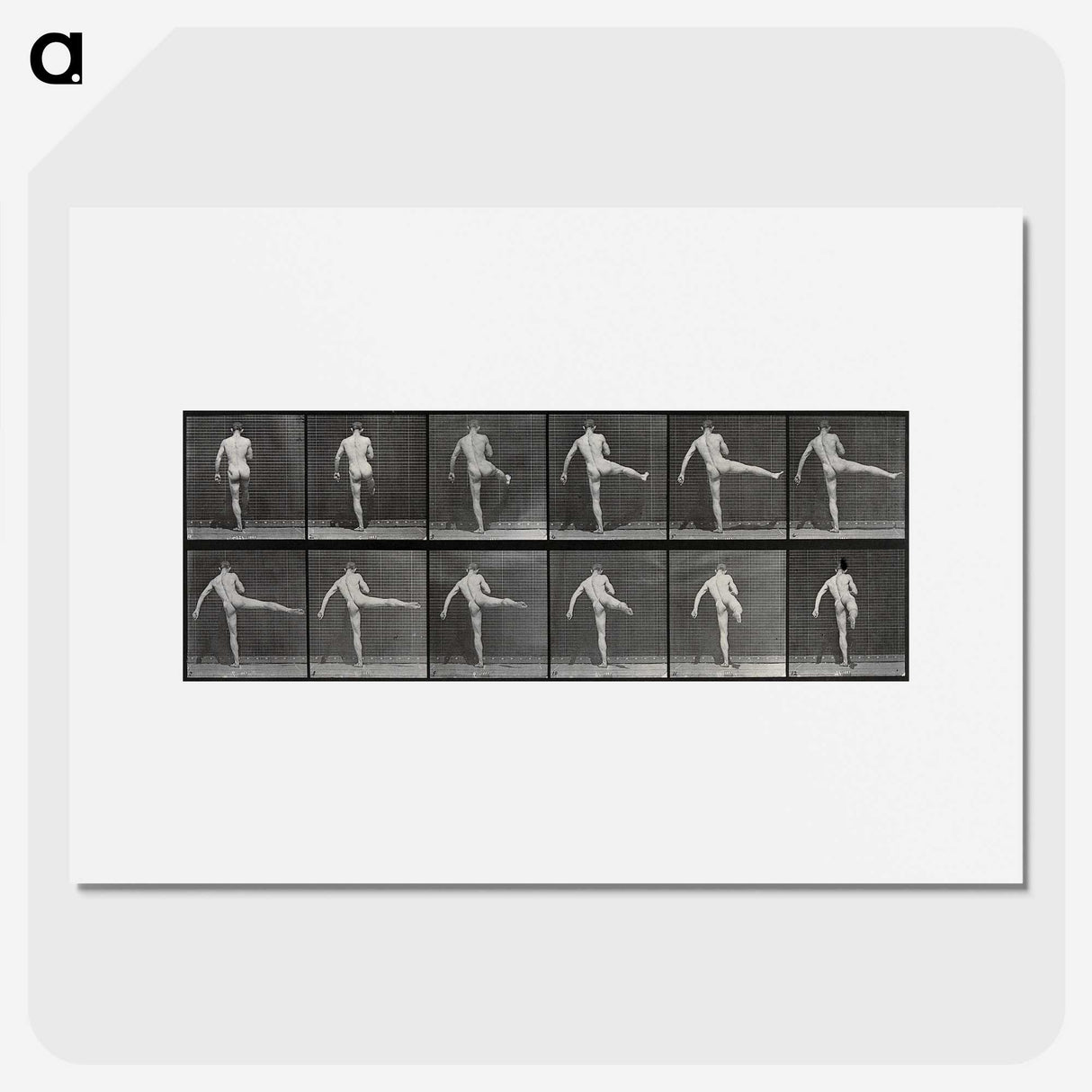 1-44_Eadweard-Muybridge_picture