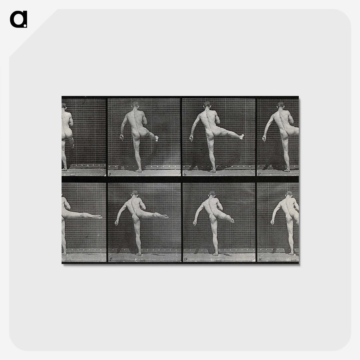 1-44_Eadweard-Muybridge_postcard