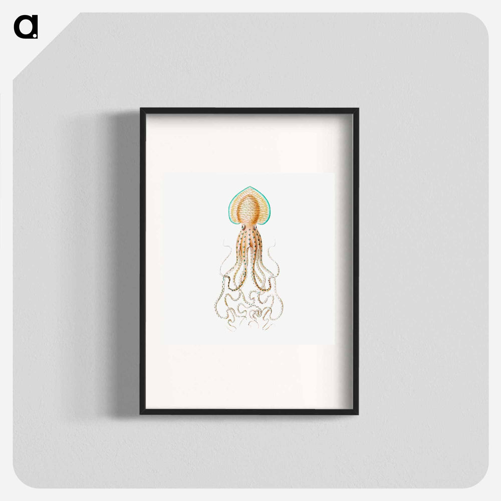 Vintage squid marine life illustration - エルンスト ヘッケル Poster.