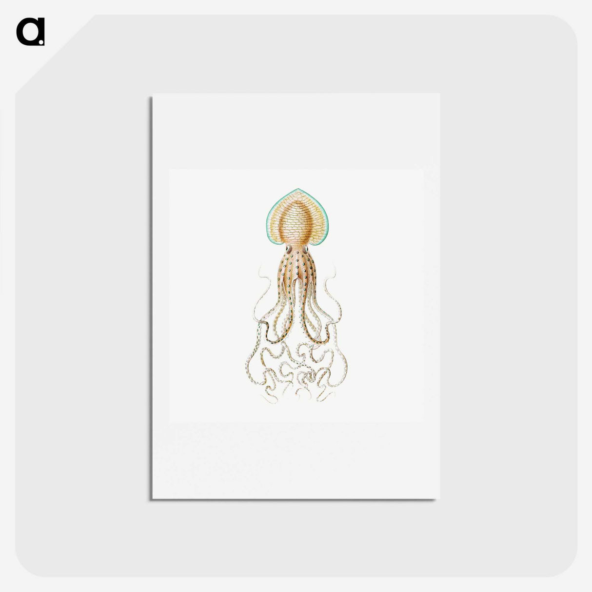 1-44_Ernst-Haeckel_hagaki