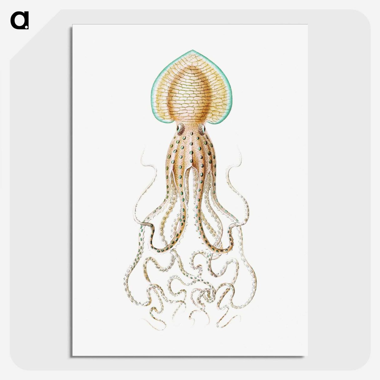 1-44_Ernst-Haeckel_picture-crop
