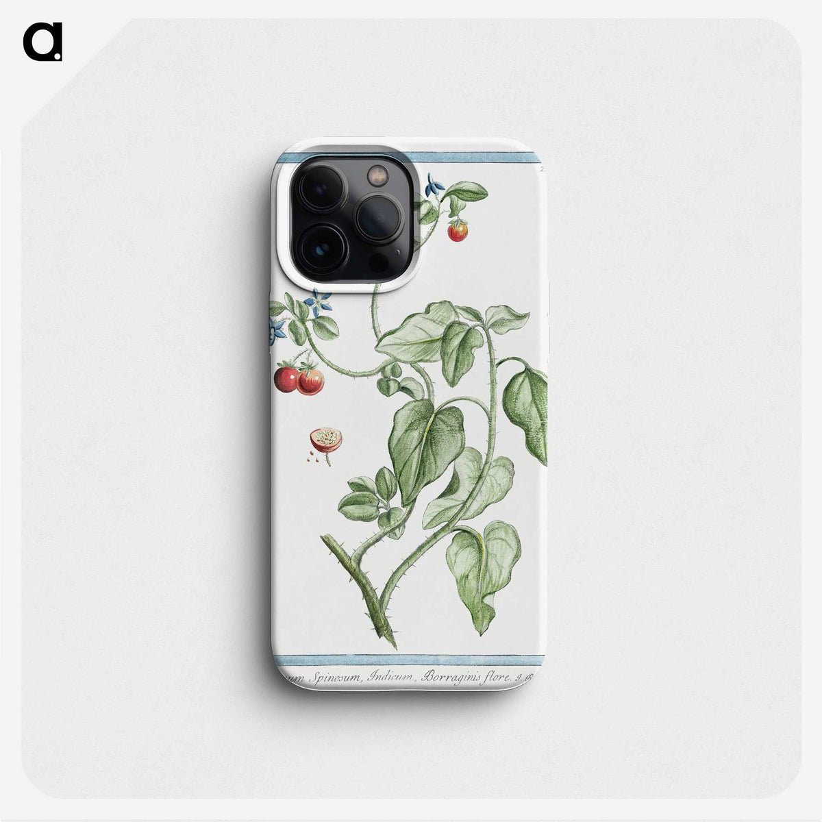 1-44_Hortus-Romanus-Botanical-Plates_phone