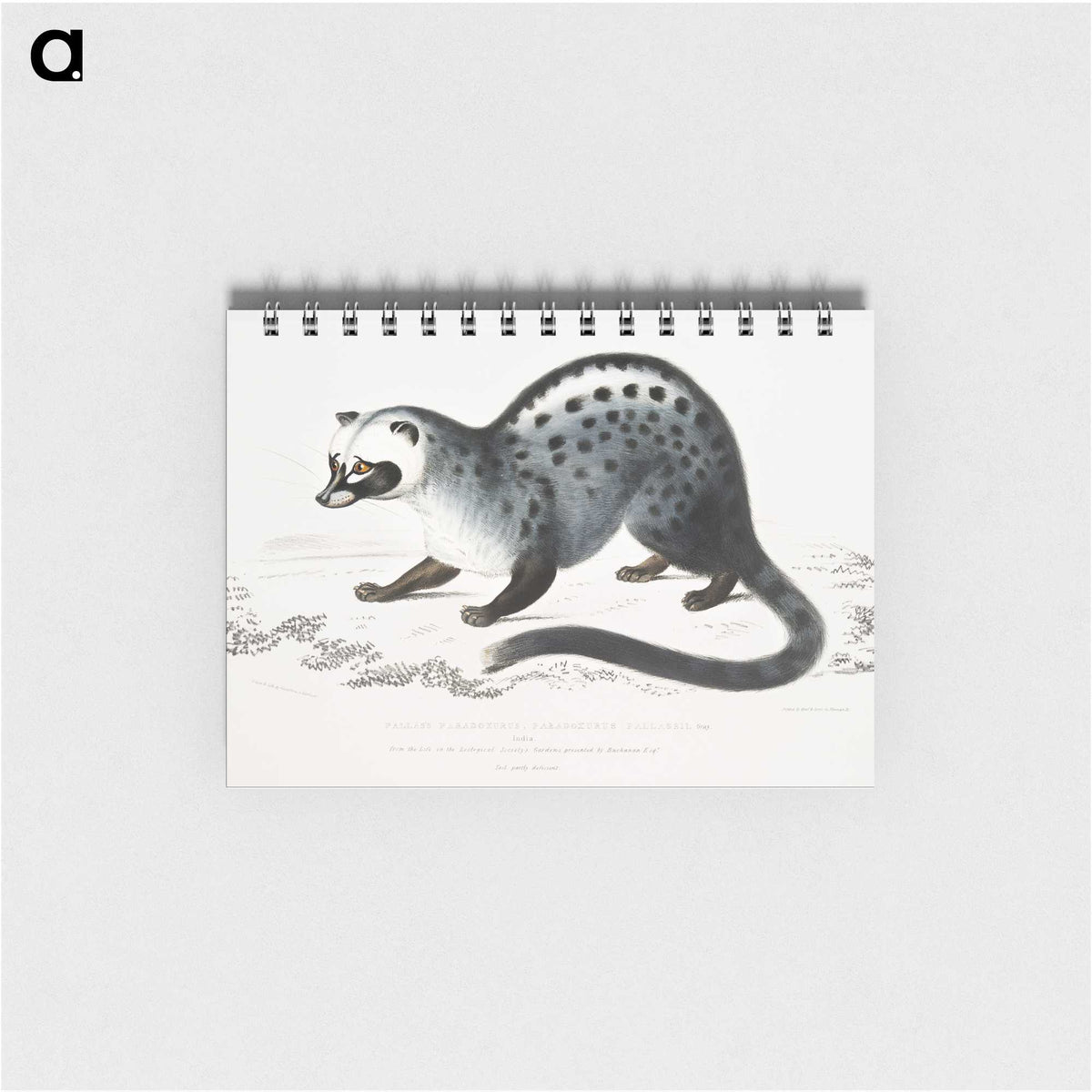 1-44_Indian-Zoology_memo