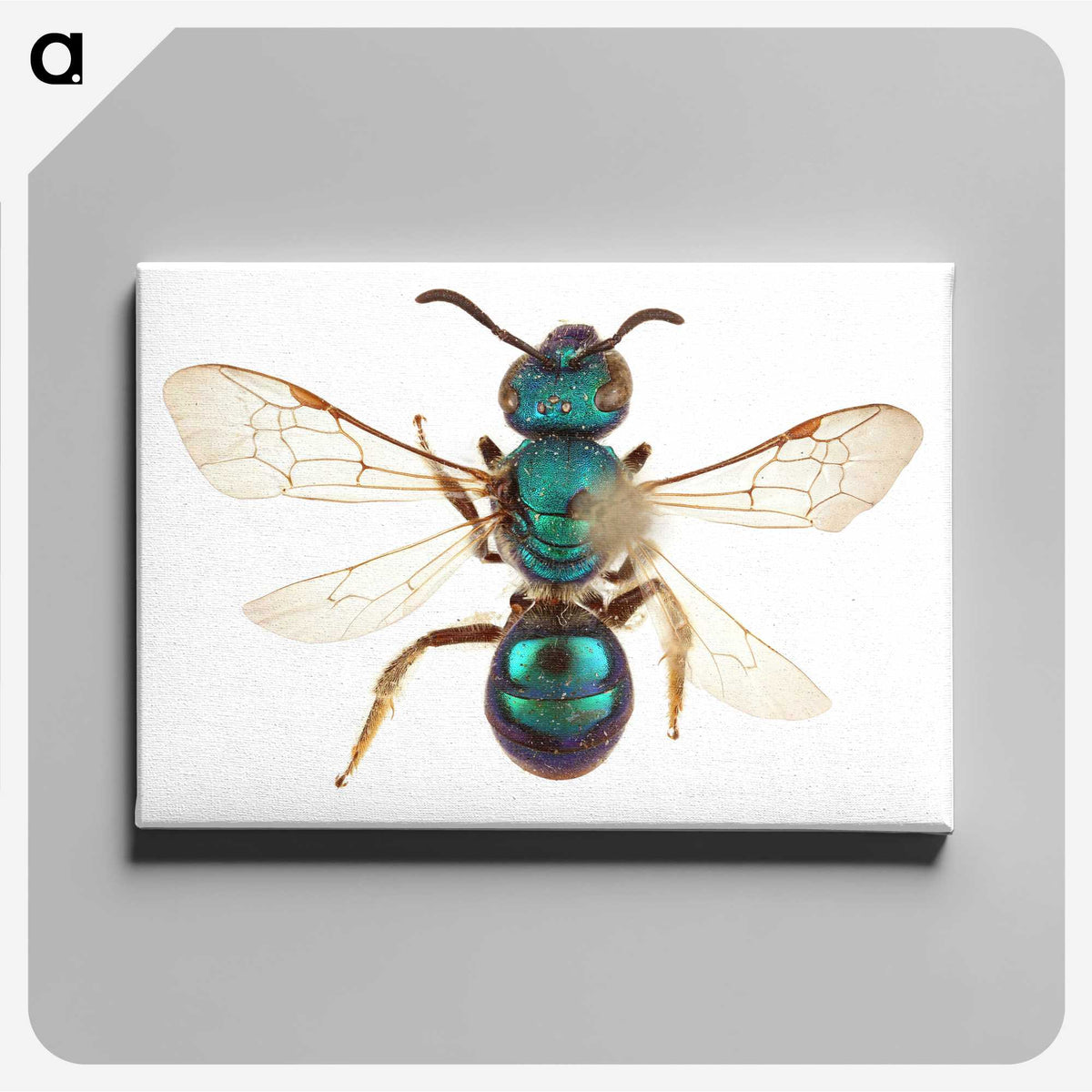 1-44_Insects-Unlocked-Project_canvas