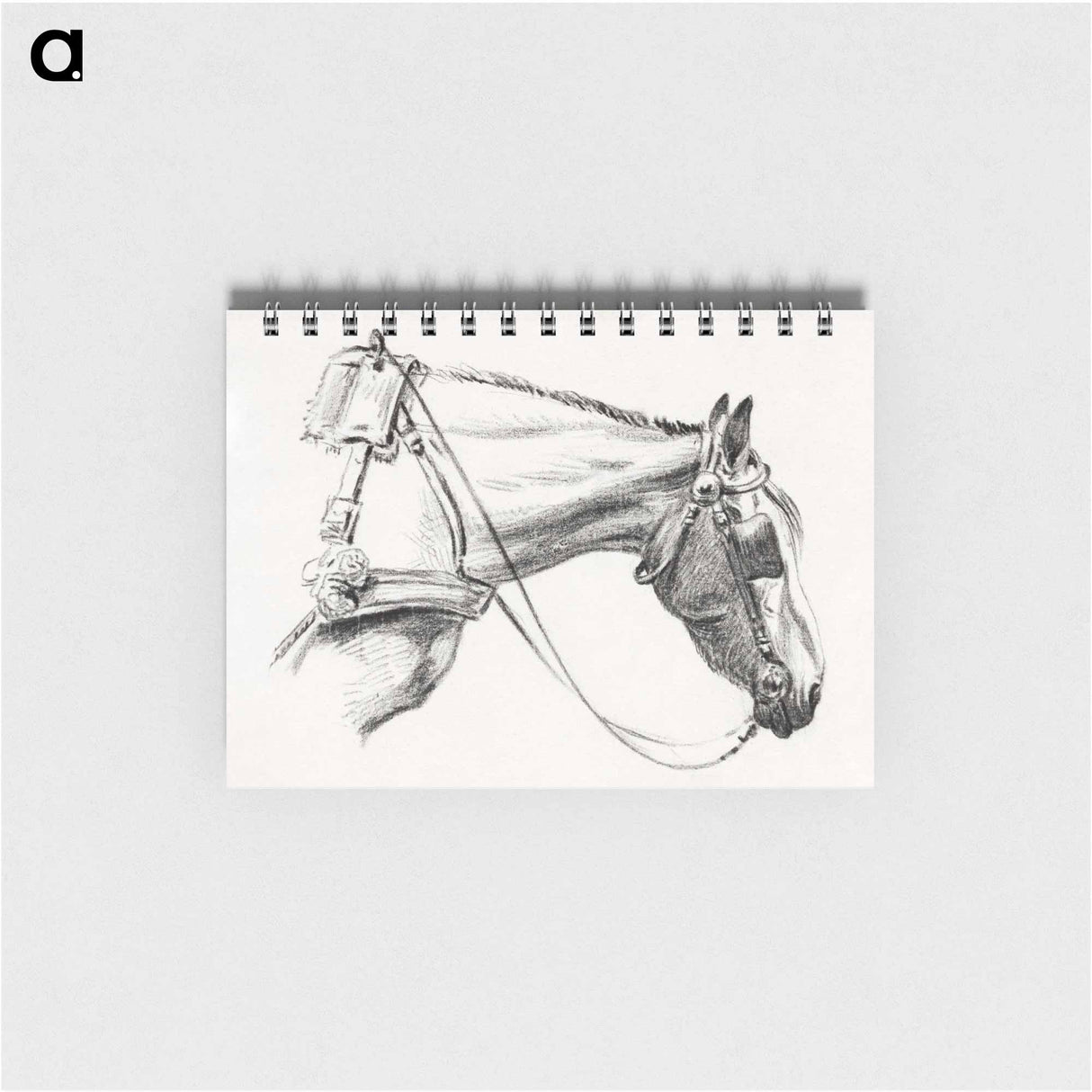 Head of a horse - ジャン ベルナール Memo.