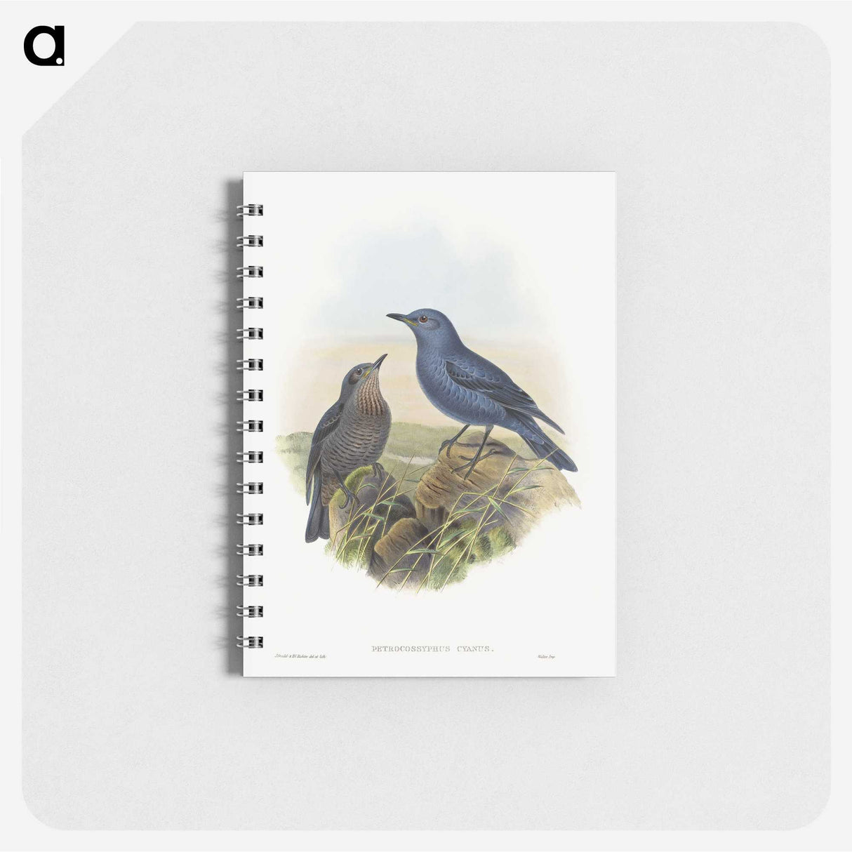 1-44_John-Gould_memo