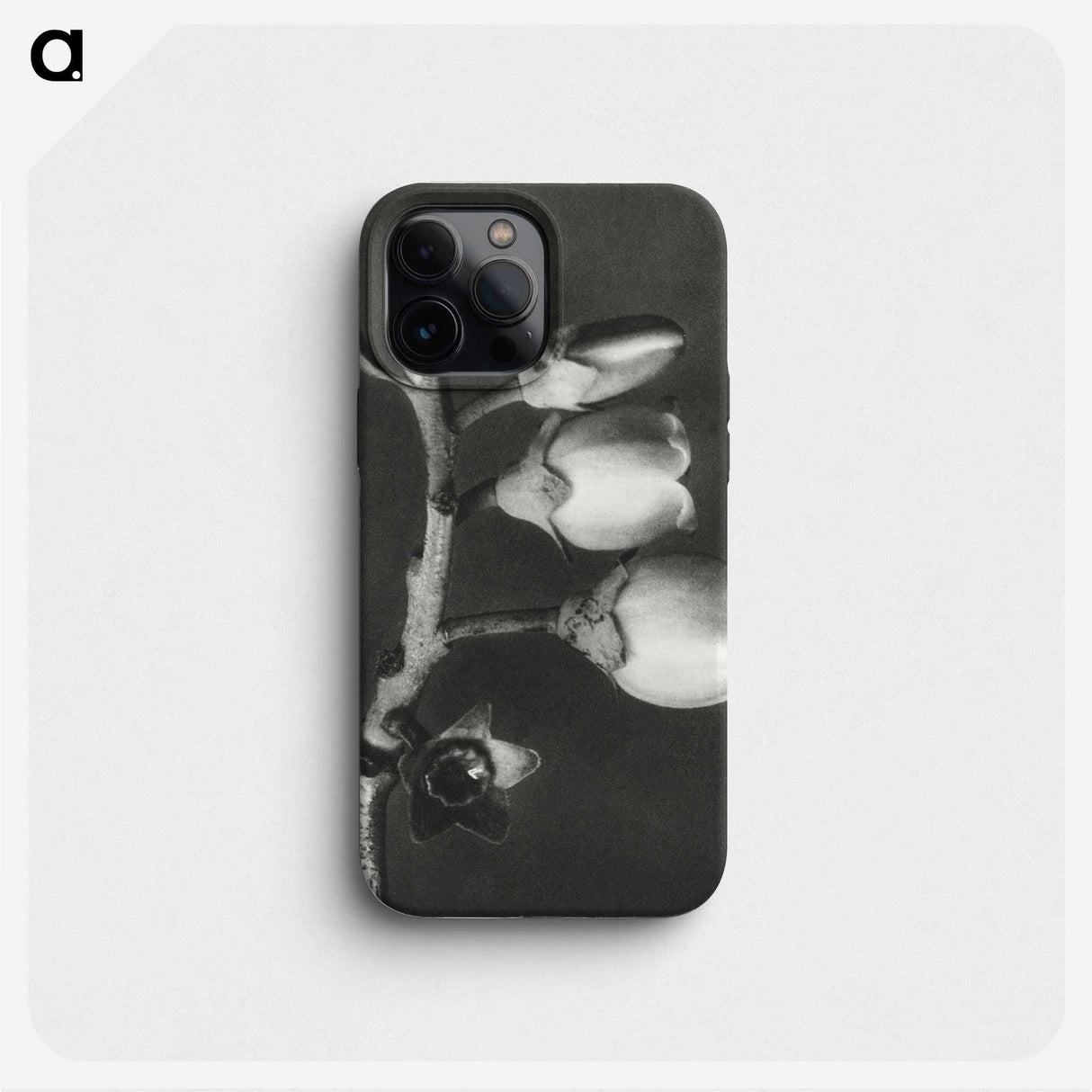 1-44_Karl-Blossfeldt_phone
