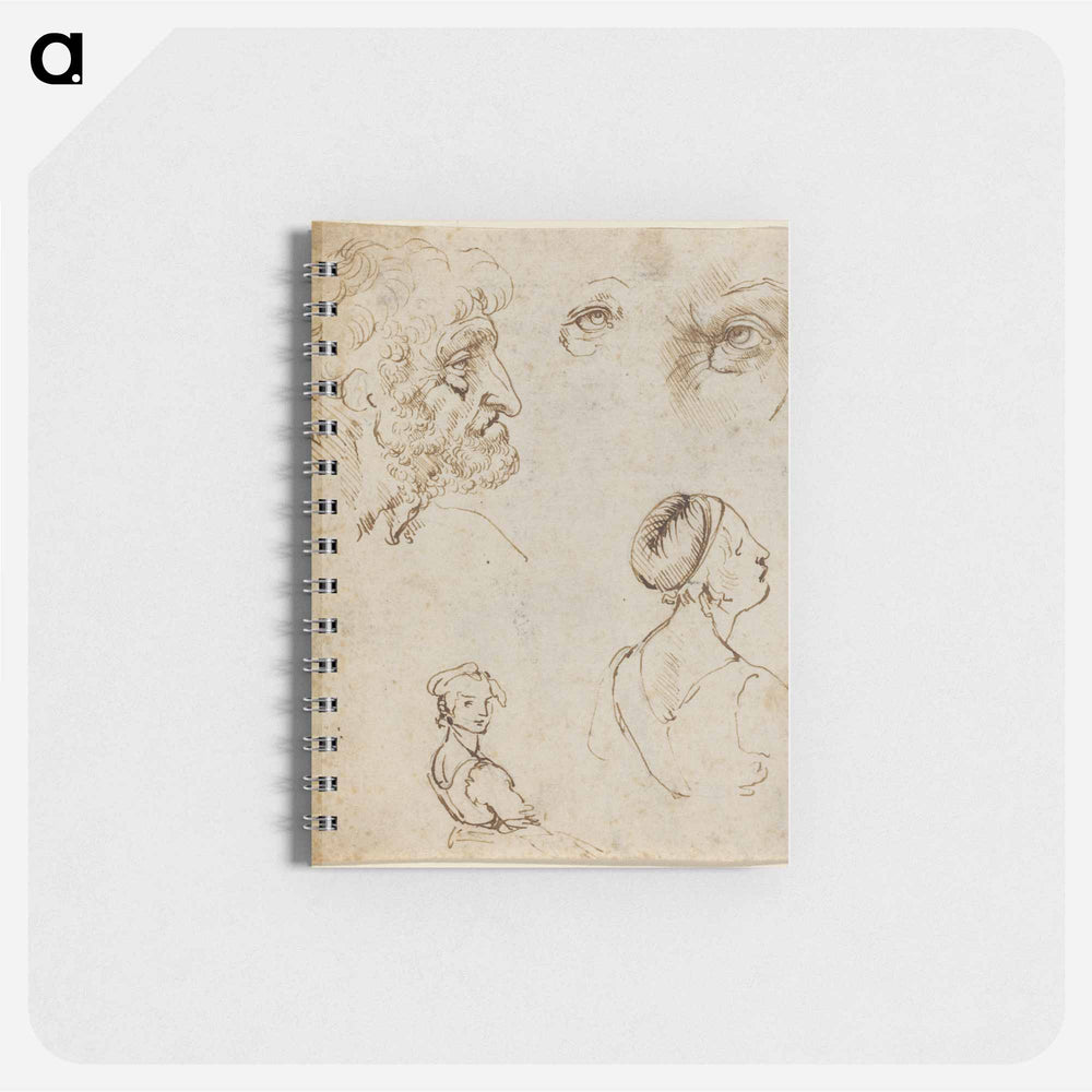 Leonardo da Vinci's Sheet of Studies - レオナルド ダ ヴィンチ Memo.
